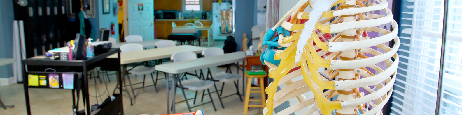 massage therapy diploma NC