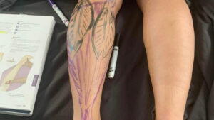 Can You Become a Massage Therapist Without a Science Background