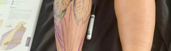 Can You Become a Massage Therapist Without a Science Background?