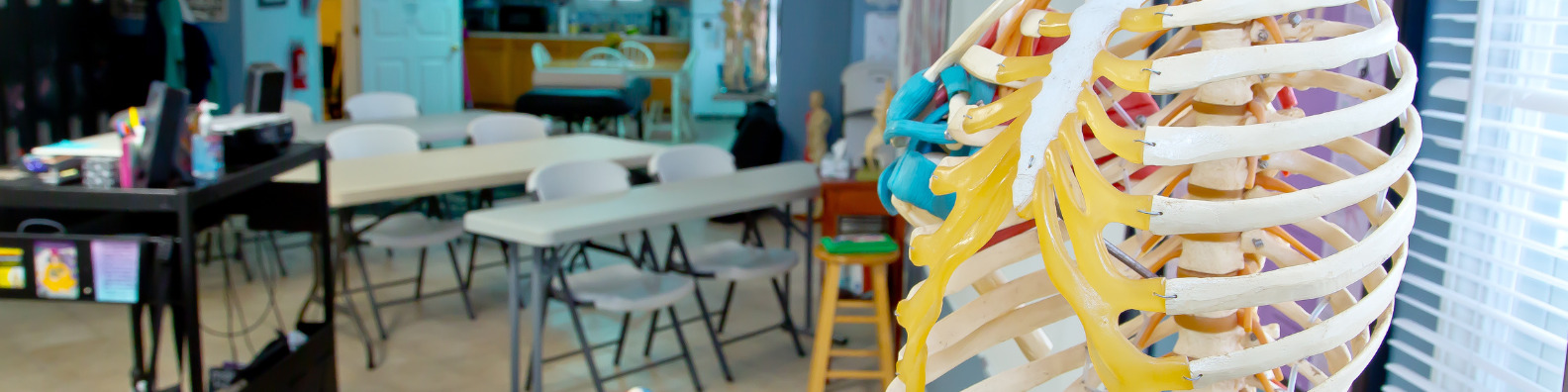 massage school near me